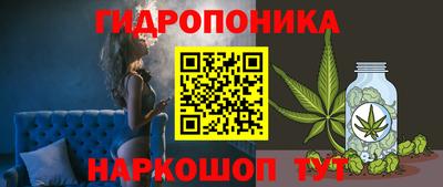 спиды Кимры