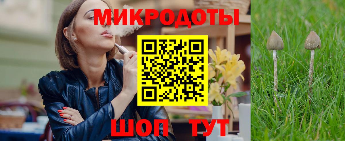 Галлюциногенные грибы MAGIC MUSHROOMS Киселёвск
