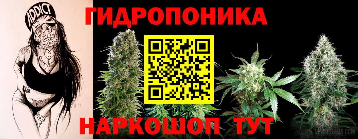 Конопля планчик  Бошки марихуана Amnesia  Бошки Шишки гибрид  Вход с VPN  Бошки марихуана ГИДРОПОН  Киселёвск 